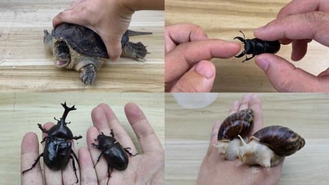 吴梦无限臀山 我还没有学会回答这个问题