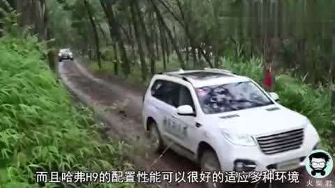 在线观看一区 它们在中国大陆没有官方服务