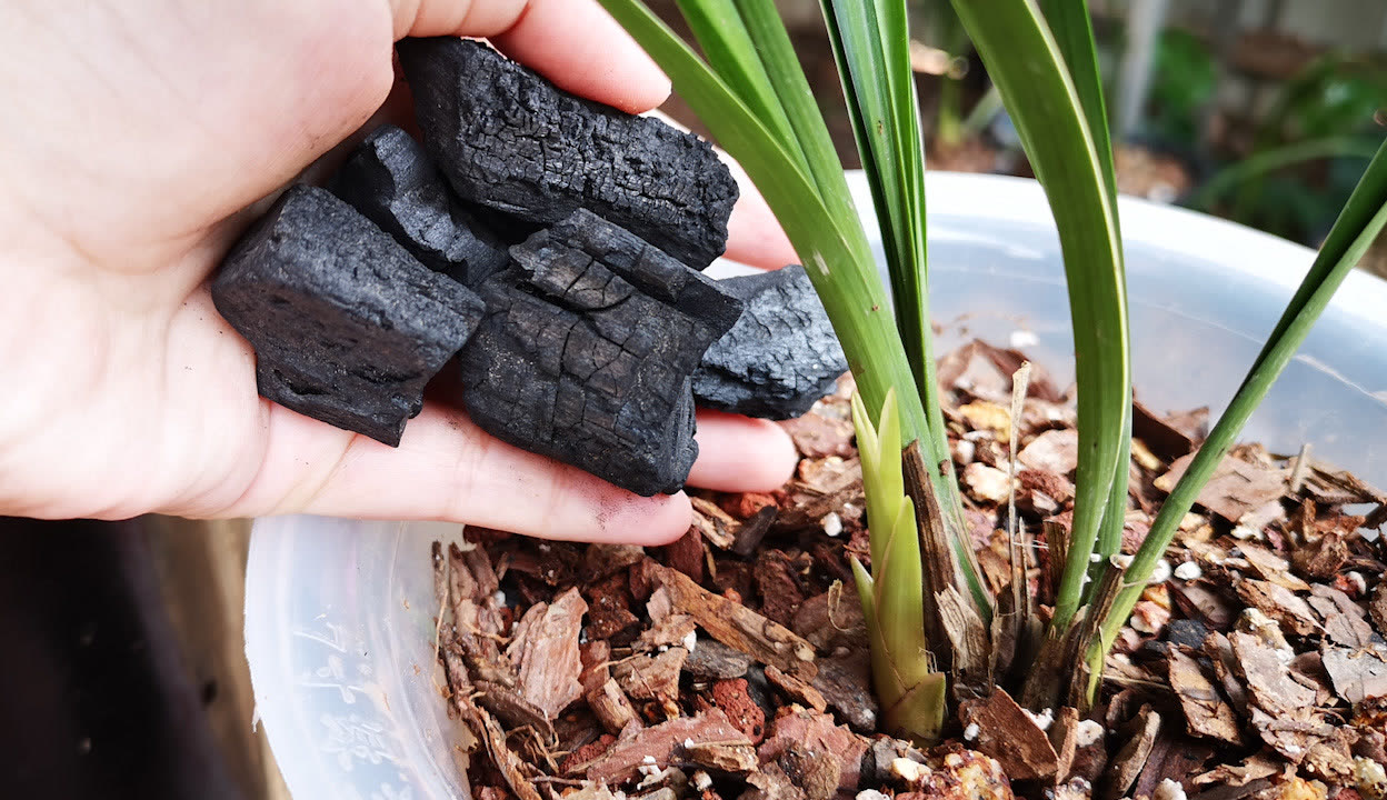 咒术里番 咒术里番关于《咒术回战》