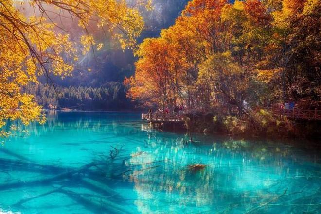 幼幼 uu 幼幼社群的幼幼代称