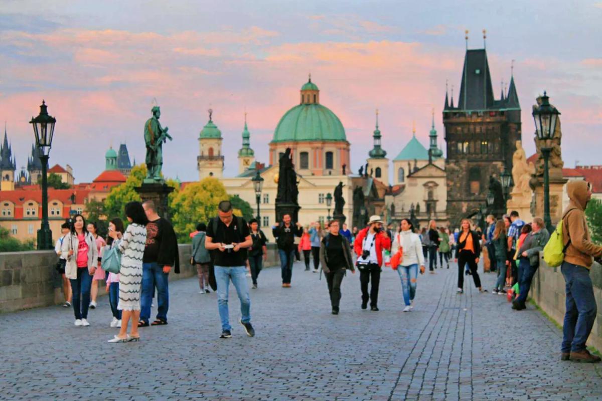 母子小马拉大马车