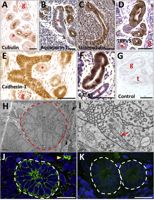 www v 2 ba art 观 影 +指 南 时代和大致主题即可