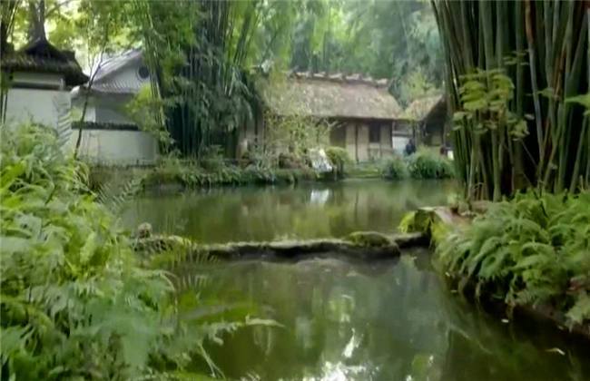 国内精品久久久久久精品一区