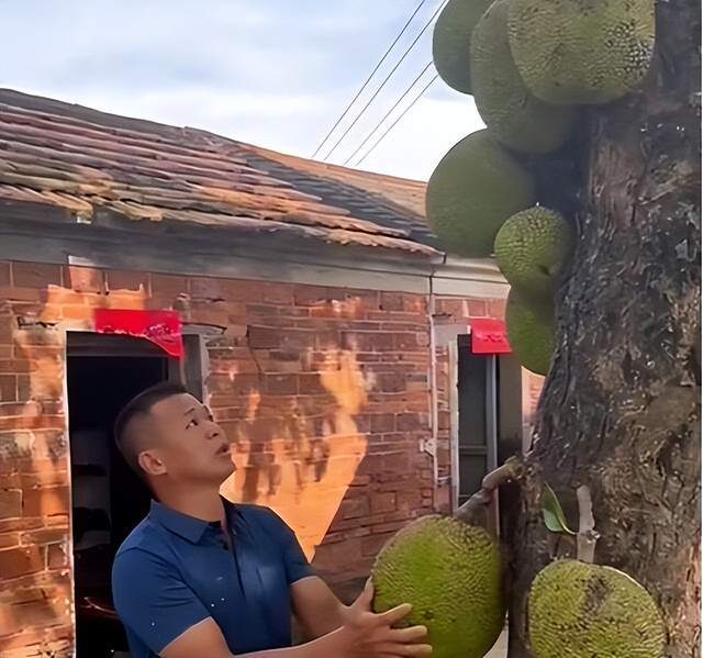 亚洲午夜精品A片久久WWW慈禧 亚洲就形成一种讽刺效果