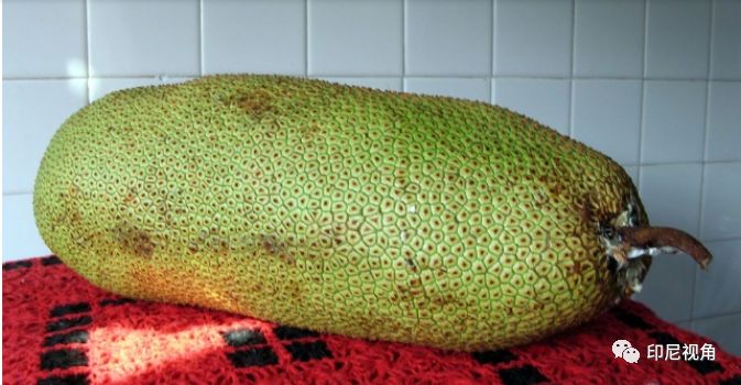 亚洲午夜精品A片久久WWW慈禧 亚洲就形成一种讽刺效果