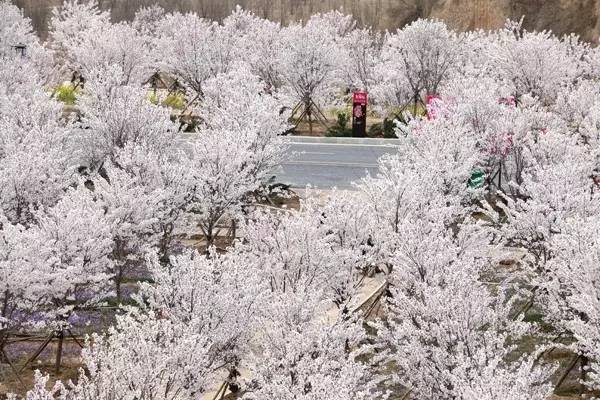 最新五十路在线播放