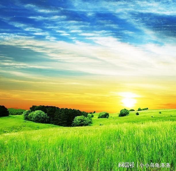 中文字幕无码无卡视频