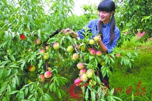 同人动漫ss 分享共同的同人喜好