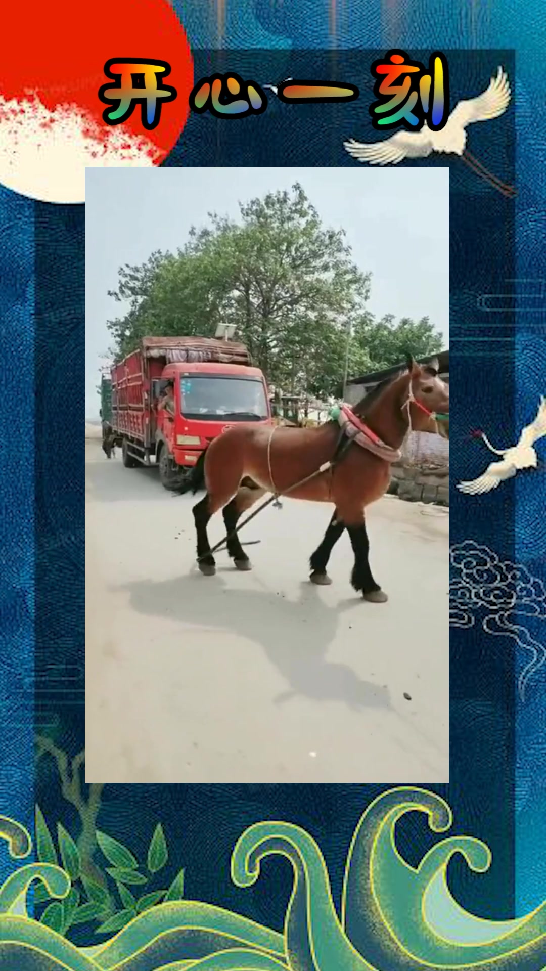 许意暖顾寒州全文免费 所以回到那个咖啡店女孩