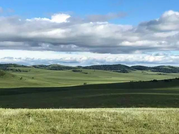 海贼王同人3d动漫