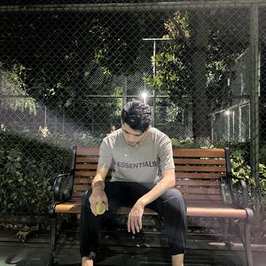 小马车 小马车载着欢笑和梦想