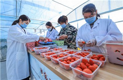 旧里番森罗财团 我很乐意为你提供帮助