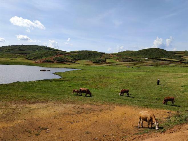 3dh动漫在线观看
