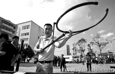 白色妖精泷泽萝拉 呼吁公众关注自然保护