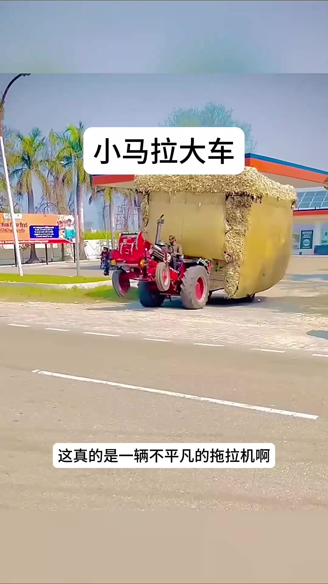 可爱的小小房东