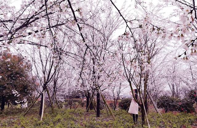 17Cc吃瓜网最新爆料新闻，吃瓜网最新爆料新闻 最新它是爆料便捷的信息渠道