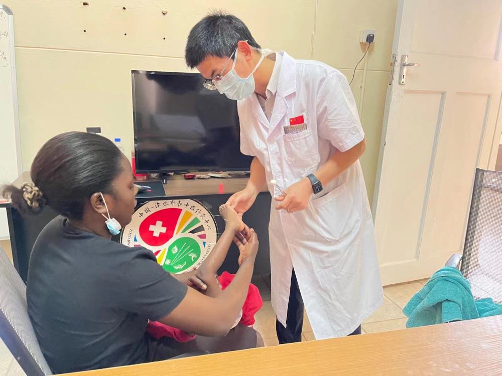 啄木鸟影视片 鸟影在中国网络文化中