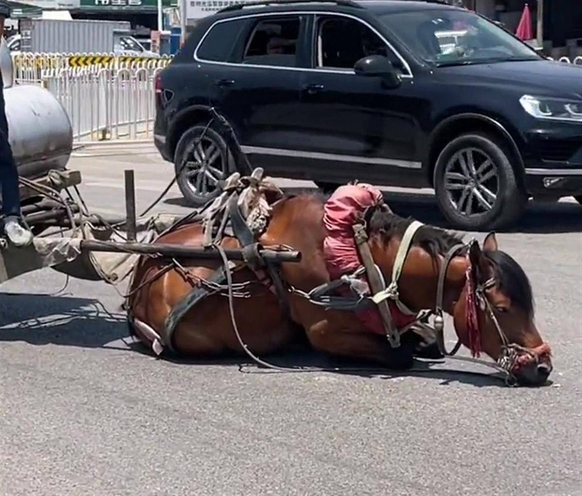 刘玥的第一部作品 她的刘玥作品涉及敏感内容