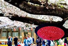 亚洲精品图片区小说区