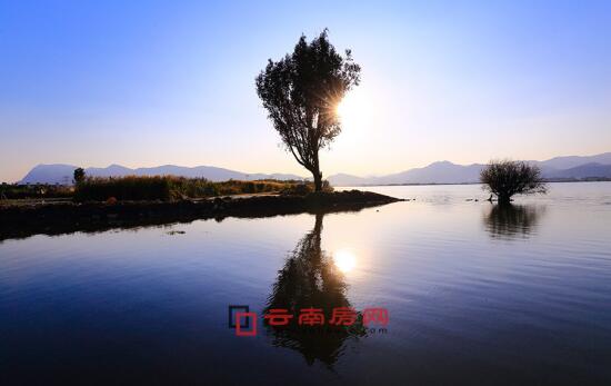 国产精品精品国内自产拍