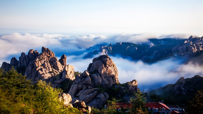 亚洲精品国产三级在线 