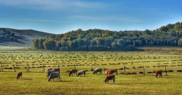 亚洲精品国产三级在线 