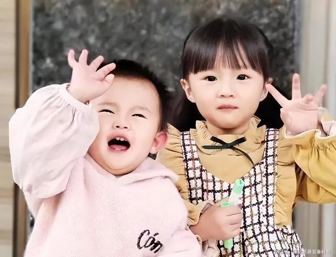 九九九精品国产一区二区电影 让国产电影生态更健康