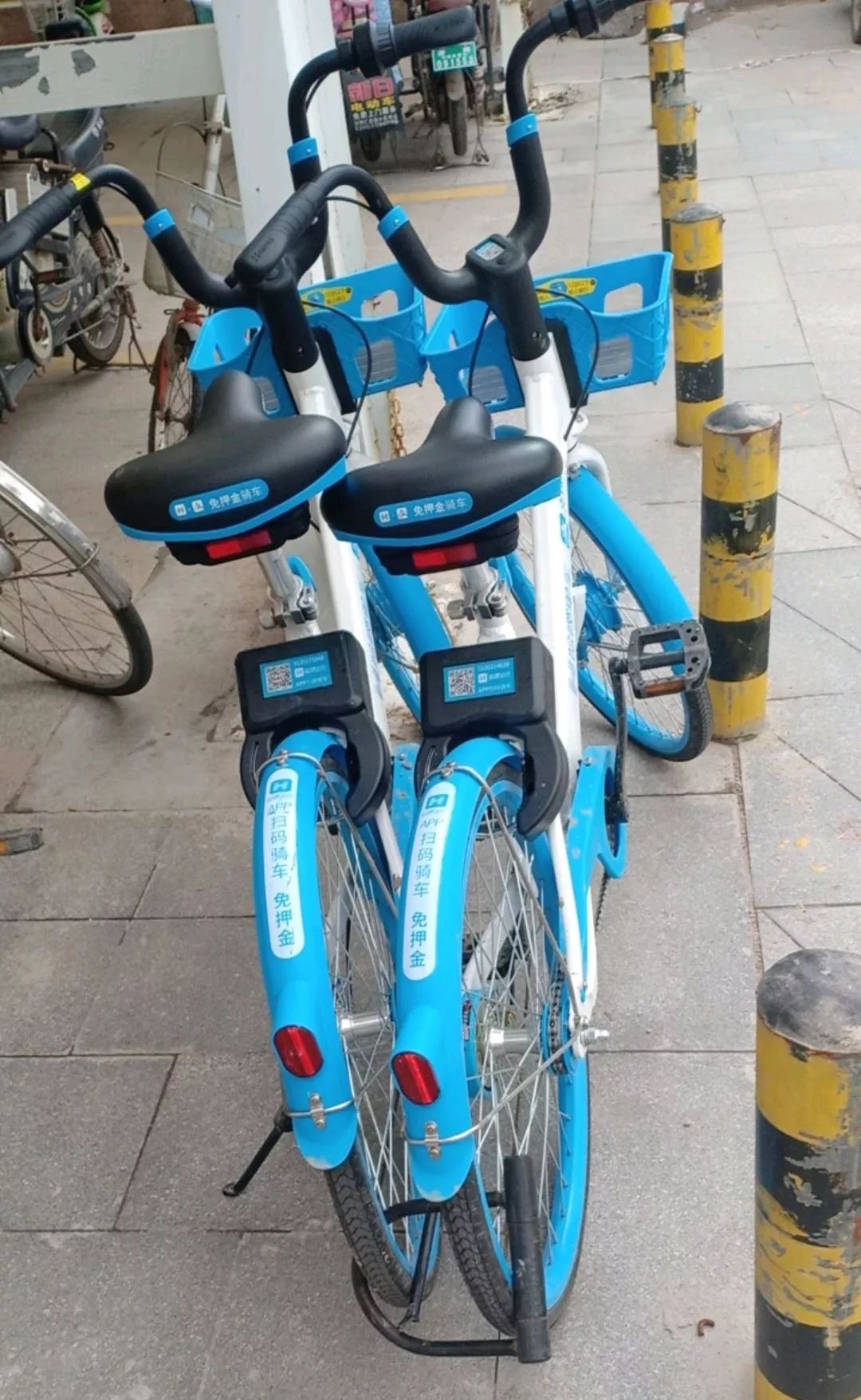 国产精品亚洲高清免费