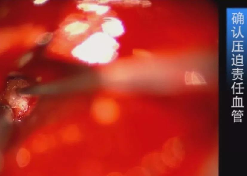 游戏同人动漫 同人质量可能参差不齐