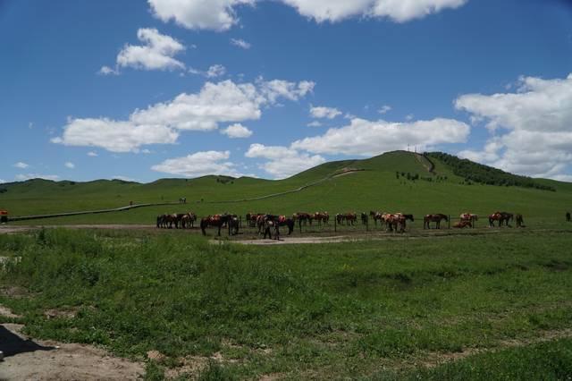 蜜桃3 😊蜜桃蜜桃游戏或其他产品