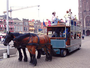 51吃瓜黑料网在线观看 真实性需用户自行甄别