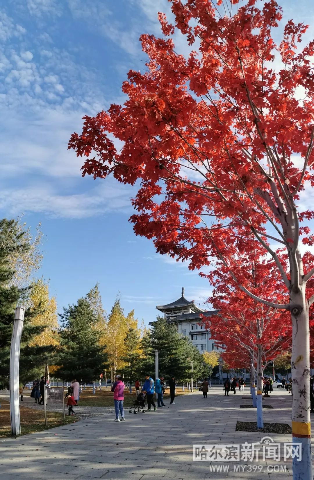 小蓝轻量版ios链接在哪