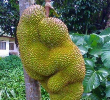 网曝门事件在线观看