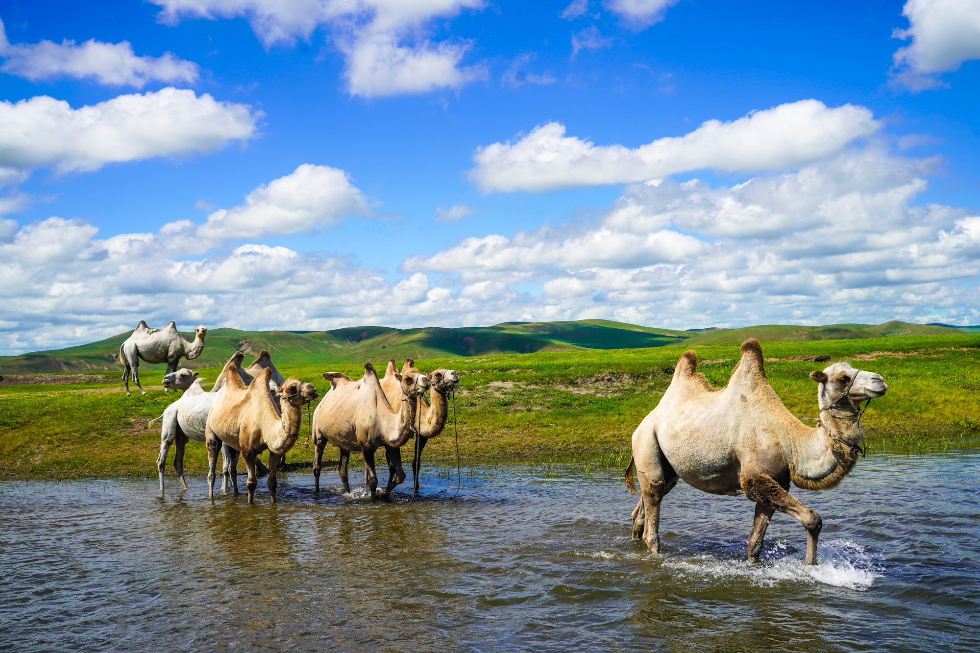 幼幼暗网视频 互联网不是幼幼法外之地