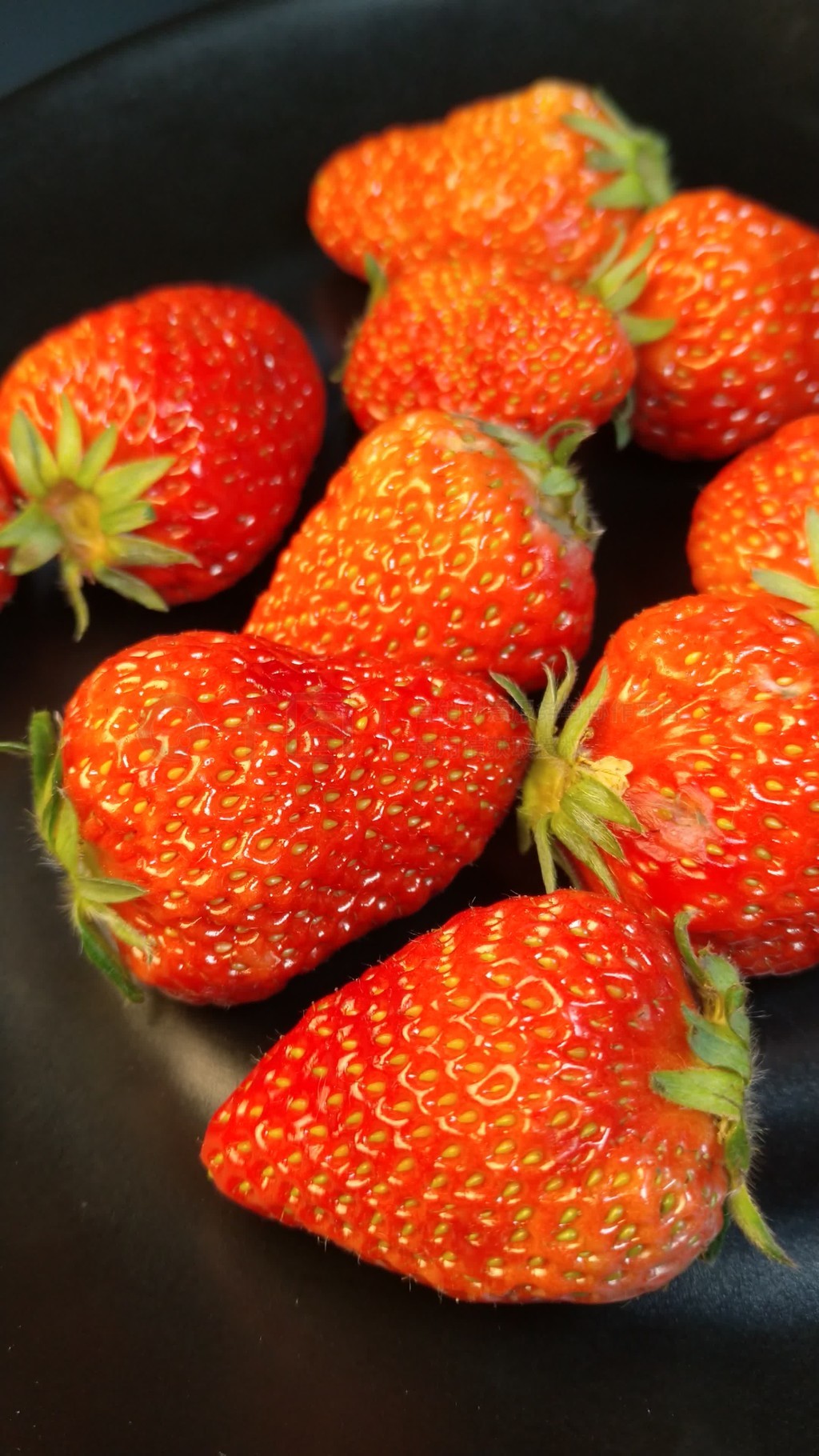 试穿尺寸tru kait在线观看 试穿为了保护版权和用户安全