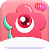 主播视频首发高清