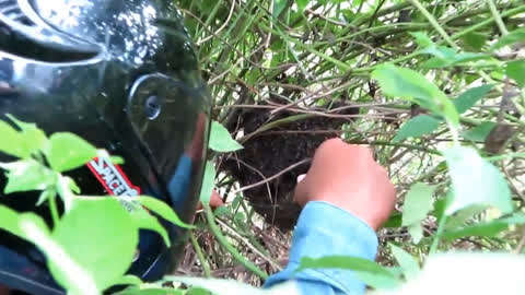 国产精品一二三社区视频