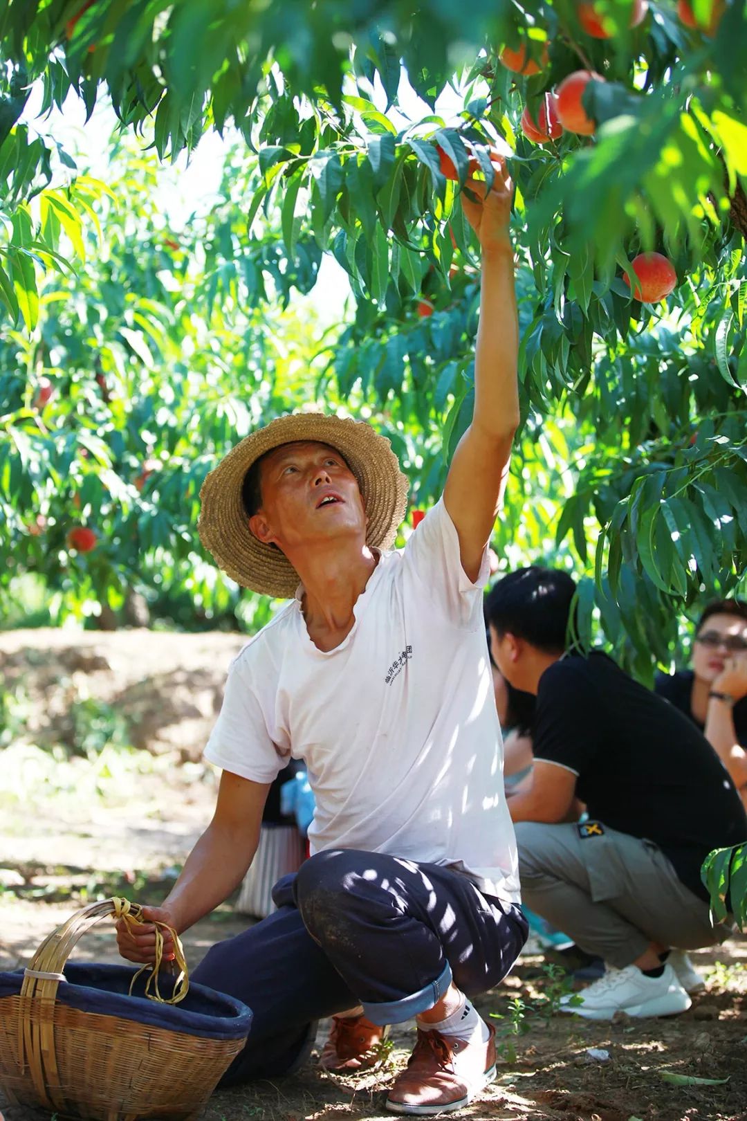 阴蒂 视频 科学的阴蒂视频健康知识